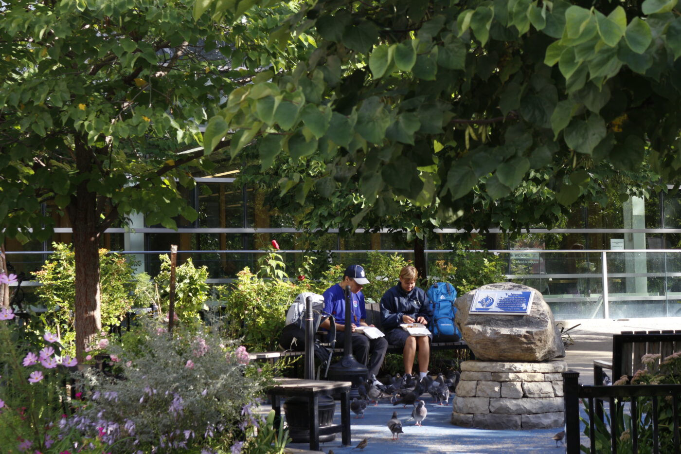 People sitting in a park.